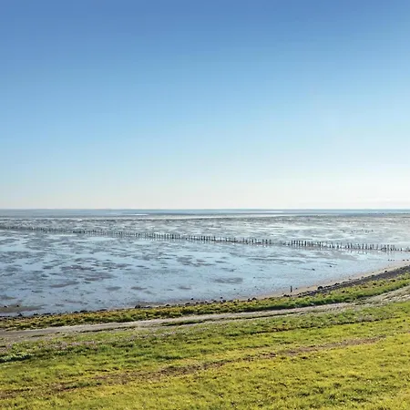 Lakolk Romo Denm Romo